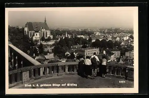 AK Mödling, Blick von der goldenen Stiege auf den Ort mit Kirche