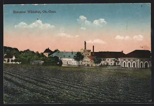 AK Wildshut /Ob.-Oest., Brauerei Wildshut