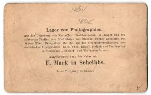 Fotografie F. Mark, Scheibbs, Ansicht Melk, Blick auf das Portal des Stift