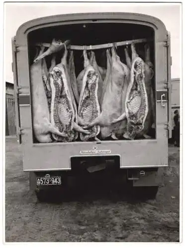 Fotografie Spedition A. Kraemer, Bamberg, Lastwagen mit Kässbohrer - Kühlanhänger transportiert Schweinehälften