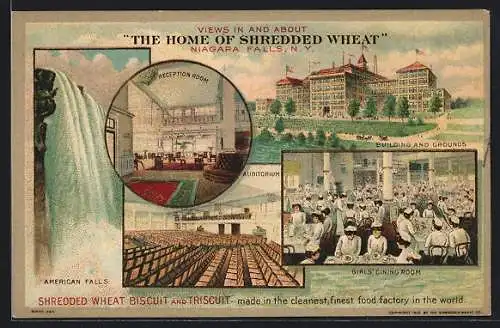 Lithographie Niagara Falls, NY, Shredded Wheat Biscuit and Triscuite, Reklame, Building and Grounds