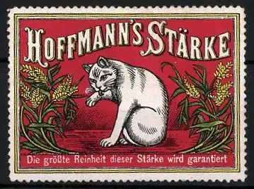 Reklamemarke Hoffmann's Stärke, die grösste Reinheit dieser Stärke wird garantiert!, Katzte schleckt sich an der Pfote