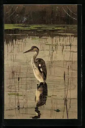 Künstler-AK Alfred Mailick: Vogel im Wasser am Waldrand