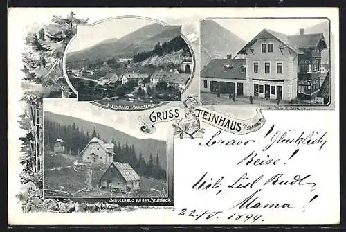 AK Steinhaus a. Semmering, Filiale Schütz, Schutzhaus auf dem Stuhleck, Ortsansicht