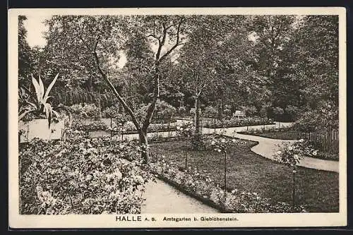 AK Halle a. S., Amtsgarten b. Giebichenstein