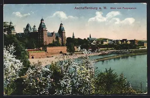 AK Aschaffenburg, Blick vom Pompejanum auf das Schloss