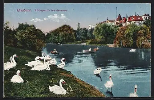 AK Hamburg-Winterhude, Alsterpartie bei Bellevue mit Schwänen