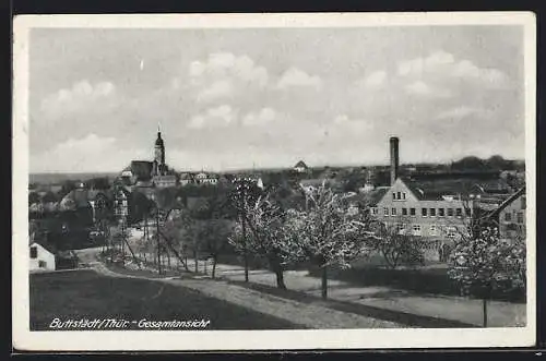 AK Buttstädt /Thür., Gesamtansicht mit Kirche