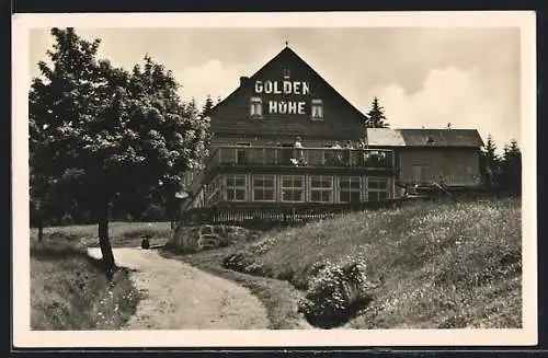 AK Schnarrtanne /Vogtl., Weg zum Gasthaus Goldene Höhe