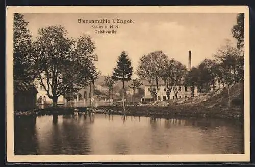 AK Bienenmühle, Partie am Teich