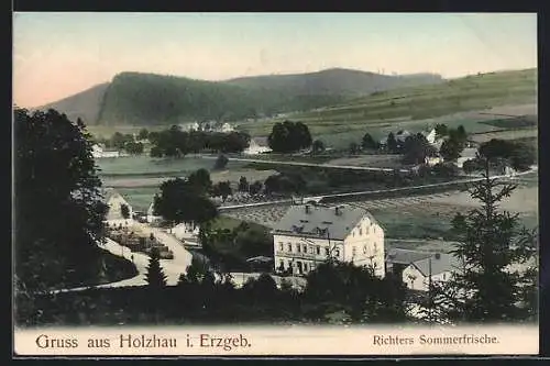 AK Holzhau i. Erzgeb., Gasthof Richter mit Strassenpartie