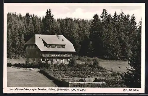 AK Falkau /Schwarzw., Pension Haus Sonnwärts