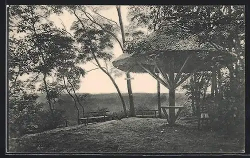 AK Bad Buckow /Märk. Schweiz, Dachsberg mit Schutzhütte