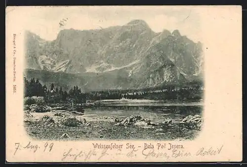 AK Tarvis, Weissenfelser See, Blick gegen die Berge