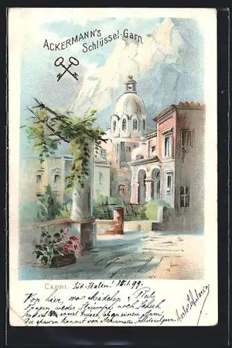 Lithographie Capri, Ortspartie Säule und Blumen