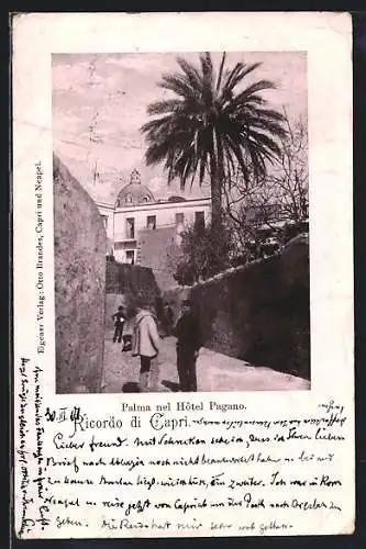 AK Capri, Palma nel Hotel Pagano