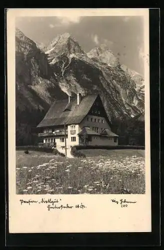 AK Hinterstoder, Tietlgut vor dem Gebirge