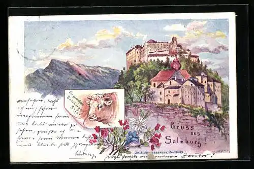 Lithographie Salzburg, Schloss-Panorama, Salzburger Stier