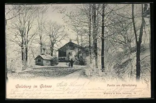 AK Salzburg, Partie am Mönchsberg