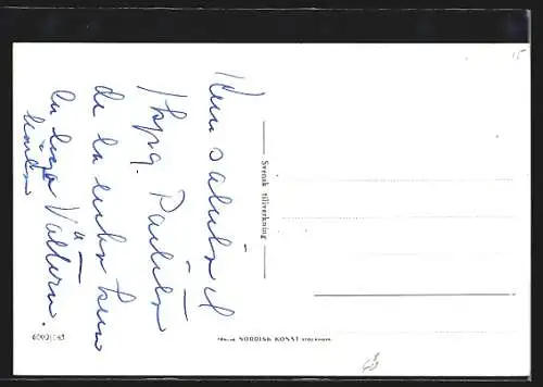 AK Jonköping, Utsikt fran Stadsparken