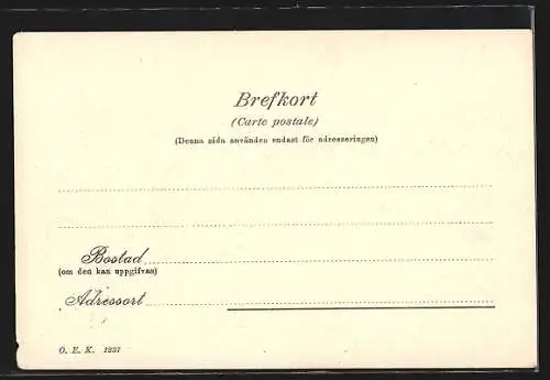 AK Vänern, Strandpartie nebst Wald