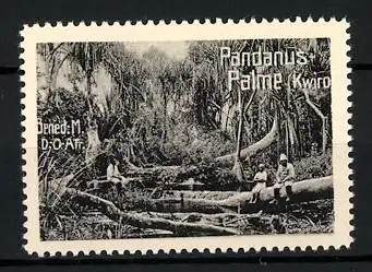 Reklamemarke Deutsch-Ost-Afrika, Kwori, Pandanuspalme, Benediktiner Mission