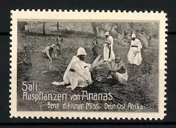 Reklamemarke Deutsch-Ost-Afrika, Sali, Auspflanzen von Ananas, Benediktiner Mission