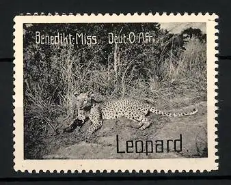 Reklamemarke Deutsch-Ost-Afrika, Leopard, Benediktiner Mission