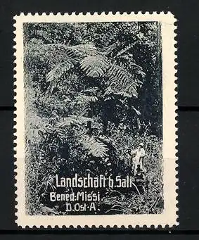 Reklamemarke Deutsch-Ost-Afrika, Sali, Landschaft Benediktiner Mission