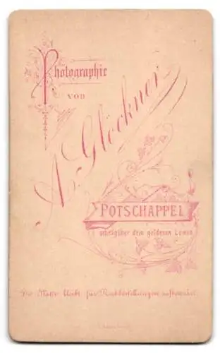 Fotografie A. Glöckner, Potschappel, Junge Frau mit zurückgestecktem Haar und stoischem Blick