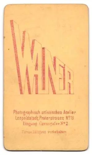 Fotografie Atelier Waner, Leopoldstadt, Praterstrasse 19, Bürgerliche Frau mit adretter Frisur und einer Fliege