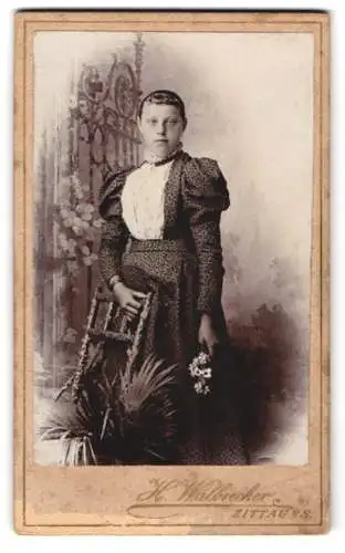Fotografie H. Walbrecker, Zittau i. S., Breite Strasse 9, Junge Dame mit Stirnlocken im gemusterten Puffärmelkleid