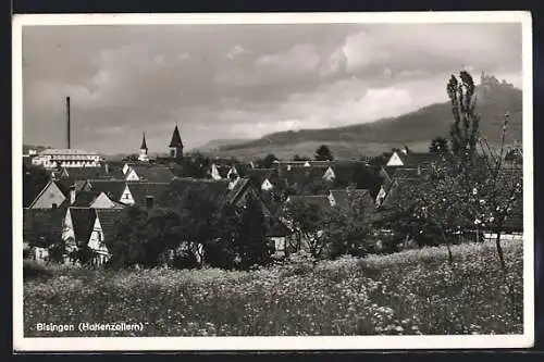 AK Bisingen /Hohenzollern, Ortsansicht mit Schloss