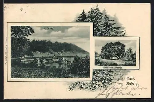 AK Ohrberg, Dampfer auf dem See, Partie auf dem Berg