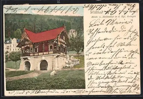 AK Wildbad / Schwarzwald, Milch- und Molkenkur in d. Kgl. Anlagen