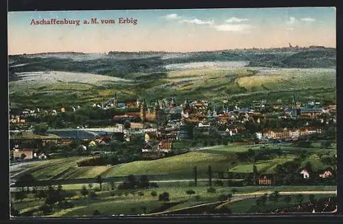 AK Aschaffenburg a. M., Gesamtansicht vom Erbig