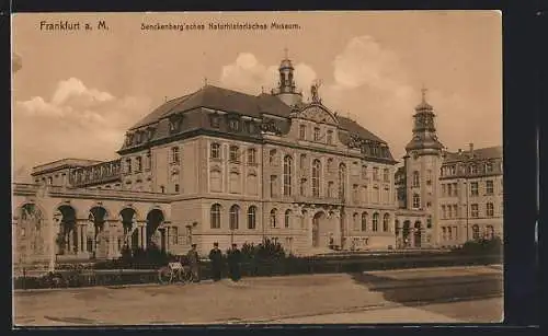 AK Frankfurt a. M., Senckenberg'sches Naturhistorisches Museum