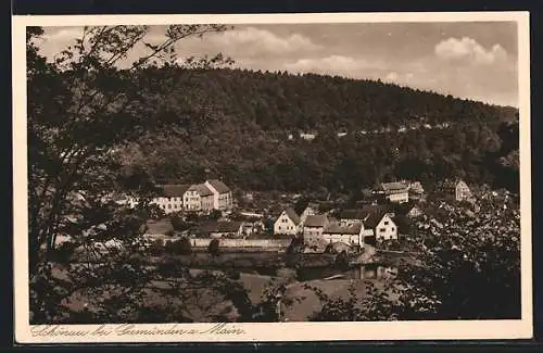 AK Schönau bei Gemünden, Ortsansicht mit Flusspartie