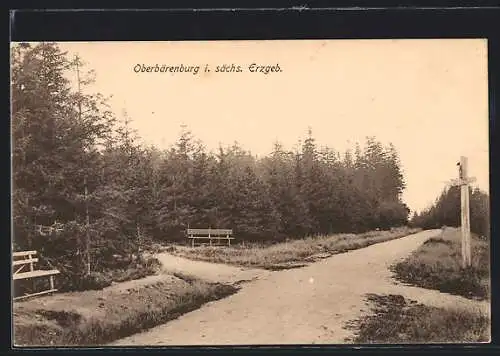 AK Oberbärenburg /Erzgeb., Strasse im Wald