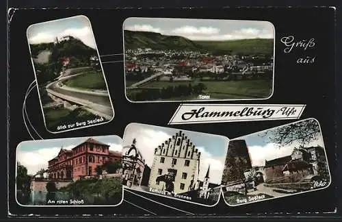 AK Hammelburg /Ufr., Burg Saaleck, Rotes Schloss und Rathaus