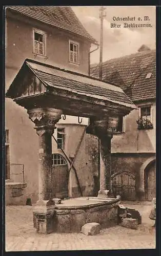 AK Ochsenfurt / Main, Alter Ziehbrunnen
