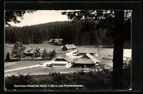 AK Puchenstuben, Gasthaus Wastl am Wald aus der Vogelschau