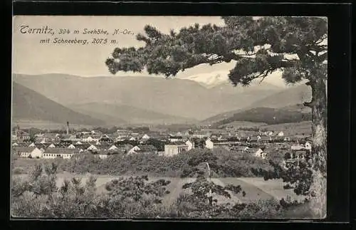 AK Ternitz, Totalansicht mit Kirche