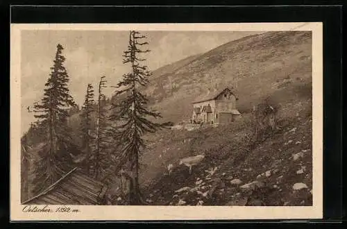 AK Oetscher, Ortspartie mit Gebäude