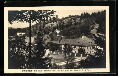 AK Neumarkt in Steiermark, Strimitzen, Villa Barbara und Pichlschloss
