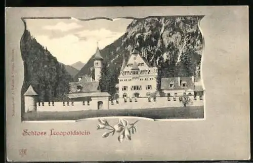 AK Eisenerz, Schloss Leopoldstein, Passepartout