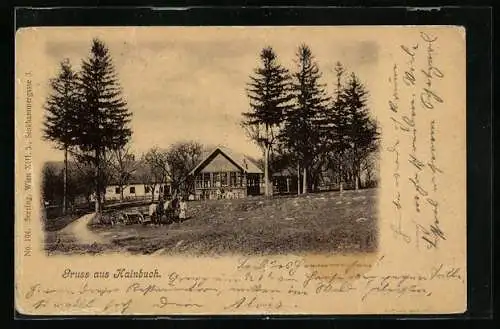 AK Hainbuch, Ortspartie mit Pferdewagen