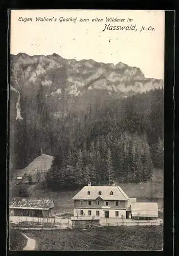 AK Nasswald /N.-Ö., Eugen Wallner`s Gasthof zum alten Wilderer