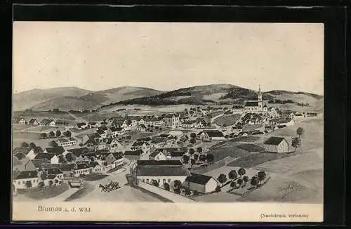AK Blumau a. d. Wild, Blick über die Dächer