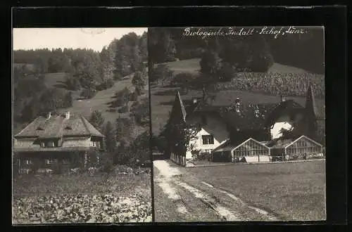 AK Lunz, Blick auf die Biologische Anstalt Seehof